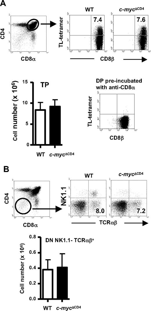 Figure 2. Normal numbers of putative thymic CD8αα TCRαβ IEL precursors in c-mycΔCD4 mice. A representative CD4 versus CD8α thymocyte profile (identical in WT and c-mycΔCD4 mice) is shown to indicate the gates used for panels A and B. (A) Analysis of putative thymic preselection IEL precursors in WT and c-mycΔCD4 mice. Total thymocytes were stained with CD4, CD8α, CD8β, and TL-tetramer. CD4+ CD8α+ thymocytes were analyzed for coexpression of TL-tetramer and CD8β. Numbers in the dot plots indicate percentages. A control experiment for the TL-tetramer staining was performed by incubating thymocytes first with anti-CD8α and subsequently with TL-tetramer. Bar graph represents absolute numbers (mean ± SD; n = 6) of CD4+ CD8αβ+ TL-tetramer+ (TP) thymocytes. (B) Analysis of putative thymic postselection IEL precursors in WT and c-mycΔCD4 mice. Total thymocytes were stained with CD4, CD8α, B220, NK1.1, and TCRαβ. DN B220− thymocytes were analyzed for NK1.1 and TCRαβ expression. Numbers in the quadrants indicate percentages. Bar graph represents absolute numbers (mean ± SD; n = 6) of DN NK1.1− B220− TCRαβ+ thymocytes.