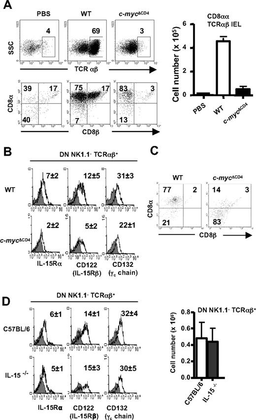 Figure 3. Role of c-Myc in IL-15–dependent differentiation of DN TCRαβ+ precursors of CD8αα TCRαβ IELs. (A) IEL reconstitution on transfer of electronically sorted DN B220− NK1.1− TCRαβ+ thymocytes from WT and c-mycΔCD4 mice into Rag2−γc− recipient mice. PBS alone was injected as negative control. Mice were analyzed 1 month after the transfer. TCRαβ IELs (identified in top panels) were stained with CD8α versus CD8β (bottom panels). Bar graph represents absolute numbers (mean ± SD; n = 5) of CD8αα TCRαβ IELs. (B) Histograms represent surface expression of IL-15R chains on DN NK1.1−B220− TCRαβ+ thymocytes from WT and c-mycΔCD4 mice. The number in each histogram corresponds to the mean fluorescence intensity (MFI) of the IL-15R staining (empty histogram) minus the MFI of the unstained control (gray filled histogram) (mean ± SD; n = 5). (C) DN B220− NK1.1− TCRαβ+ thymocytes from WT and c-mycΔCD4 were electronically sorted and cultured with 100 ng/mL hIL-15 for 6 days. After culture, cells were counted (the absolute number of viable cells was similar for WT and c-mycΔCD4 mice) and stained with TCRαβ, CD8α, and CD8β. Dot plots show CD8α versus CD8β profile of TCRαβ+ cells. Numbers in the dot plots indicate percentages. Data are representative of 2 independent experiments. (D) Histograms show surface expression of IL-15R chains on DN NK1.1−B220− TCRαβ+ thymocytes from control C57BL/6 and IL15−/− mice. The number in each histogram corresponds to the MFI of the IL-15R staining (empty histogram) minus the MFI of the unstained control (gray filled histogram) (mean ± SD; n ≥ 4). Bar graph represents absolute number of DN NK1.1− TCRαβ+ thymocytes in control C57BL/6 and IL-15−/− mice (mean ± SD; n ≥ 4).