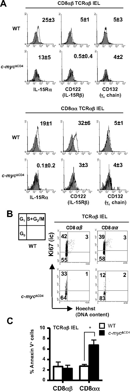 Figure 4. c-Myc deficiency affects IL-15R expression, proliferation, and survival of CD8αα TCRαβ IELs. (A) Expression of IL-15R chains on CD8αα and CD8αβ TCRαβ IEL subsets from WT and c-mycΔCD4 mice. The number in each histogram corresponds to MFI of the IL-15R staining (empty histogram) minus MFI of the unstained control (gray filled histogram) (mean ± SD; n = 4). (B) Cell-cycle analysis of TCRαβ IELs in WT and c-mycΔCD4 mice. Dot plots show Ki67 versus Hoechst profile for CD8αβ and CD8αα TCRαβ IELs. Numbers in dot plots correspond to percentages of cells in G0, G1, and S + G2/M. Results are representative of 2 independent analyses. (C) Bar graph represents the percentage of apoptotic (annexin V+ 7-amino-actinomycin D−) CD8αβ and CD8αα TCRαβ IELs in WT and c-mycΔCD4 mice (mean ± SD; n = 6). *Statistically significant difference (P < .05).