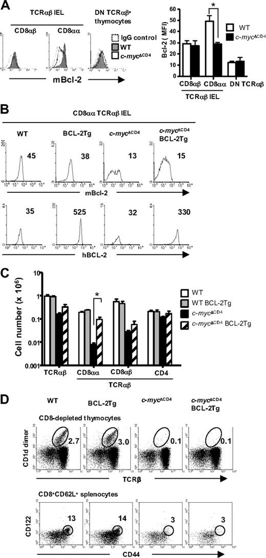 Figure 5. CD8αα TCRαβ IEL development in c-mycΔCD4 mice is partially restored by enforced BCL-2 expression. (A) Intracellular mouse Bcl-2 expression in the indicated populations from WT and c-mycΔCD4 mice. Dashed histogram represents the staining with IgG control. Bar graph represents MFI of mouse Bcl-2 staining (mean ± SD; n = 6). *P < .05. (B) Intracellular mouse Bcl-2 or human BCL-2 expression in CD8αα TCRαβ IELs from WT, BCL-2 Tg, c-mycΔCD4, and c-mycΔCD4 BCL-2 Tg mice. The number in each histogram indicates the MFI of Bcl-2 staining. (C) Bar graph represents the absolute number of cells in the indicated IEL subsets in WT, BCL-2 Tg, c-mycΔCD4, and c-mycΔCD4 BCL-2 Tg mice (mean ± SD; n = 5). *Statistically significant difference (P < .05). (D) Thymic Vα14i NKT cells and memory phenotype CD8 splenic T cells in WT, BCL-2 Tg, c-mycΔCD4, and c-mycΔCD4 BCL-2 Tg mice. CD8-depleted thymocytes were stained with TCRβ and CD1d-dimer. Percentage of Vα14i NKT cells (TCRβ+ CD1d-dimer+) is indicated in the upper dot plots. Total spleen cell suspensions were stained with CD8α, CD62L, CD122, and CD44. Lower dot plots represent CD122 versus CD44 profile of the CD8α+ CD62L+ splenic T cells. The percentage of memory phenotype T cells (CD122+ CD44+) is indicated. Data are representative of 3 independent experiments.