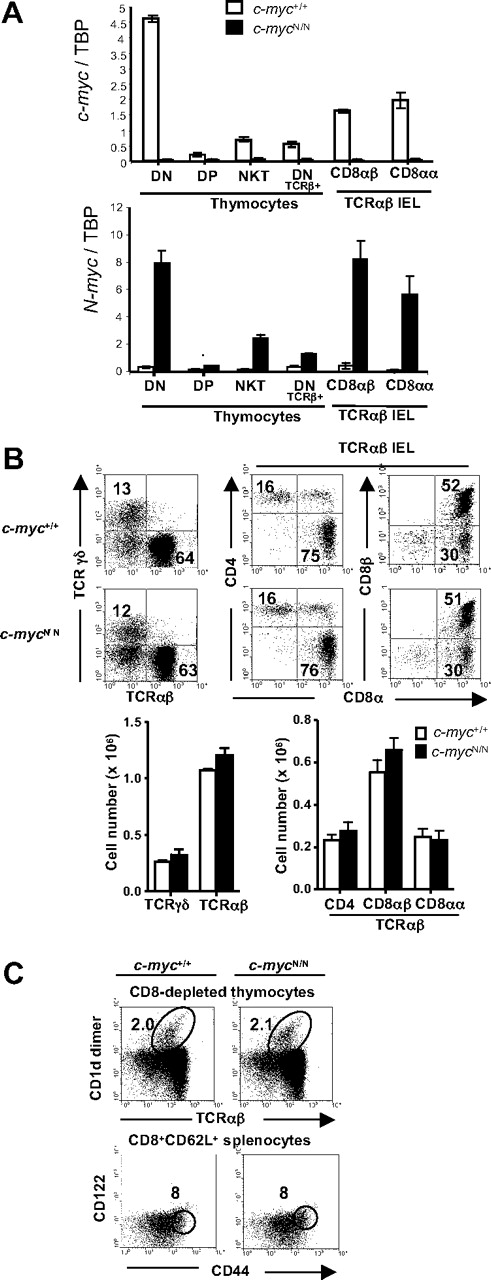 Figure 6. Normal development of unconventional T cells in c-mycN/N mice. (A) cDNA from the indicated populations from control (white bars) and c-myc N/N (black bars) mice was assayed for c-myc and N-myc expression by quantitative RT-PCR. Myc levels were normalized to TBP and are presented in arbitrary units. (B) Flow cytometric analysis of IELs from control and c-mycN/N mice. Samples were stained and analyzed as in Figure 1. Numbers indicate the percentage of cells in each quadrant. Bar graphs represent absolute numbers (mean ± SD; n = 5) of the indicated IEL subsets. (C) Thymic Vα14i NKT cells and splenic memory phenotype CD8+ T cells in WT and c-mycN/N mice. Samples were stained and analyzed as in Figure 5D. Data are representative of 2 independent experiments.