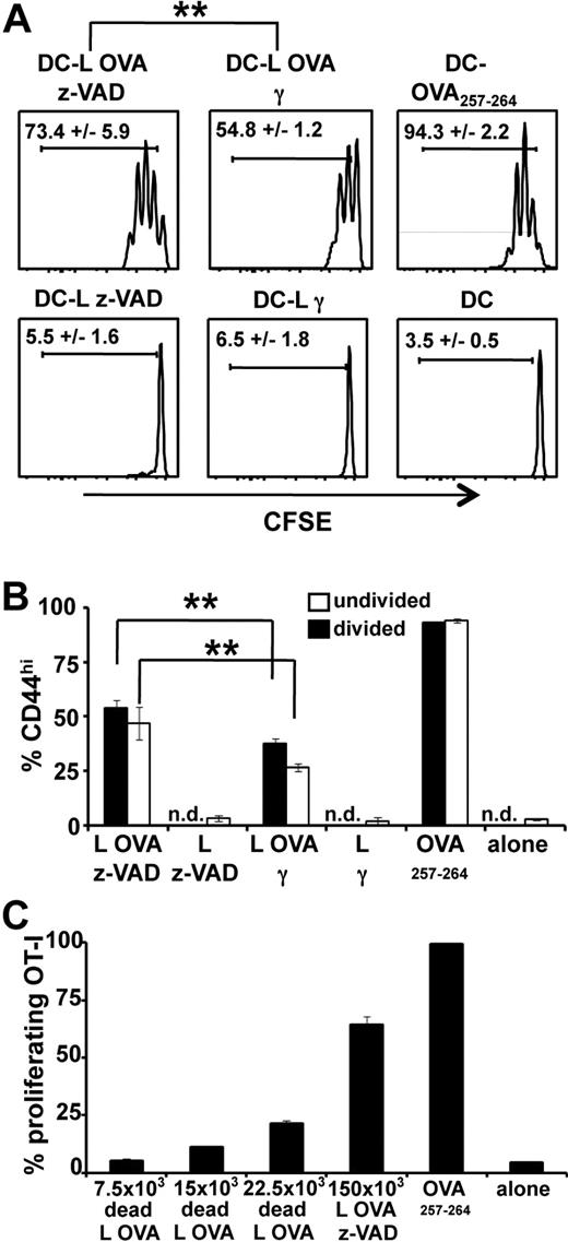 Figure 4. Cross-presentation from live, not apoptotic, antigen-donor cells in vitro. DCs (5 × 104) were cultured for 16 hours with 15 × 104 live or apoptotic L OVA cells, L cells, or OVA257-264 peptide, and 1 μg/mL LPS. DCs were purified and cultured for 3 days with naive CFSE-stained OT-I CD8 T cells. At the end of the culture, cells were labeled with anti-CD8, anti-Vα2, and anti-CD44 mAb, to measure proliferation by CFSE dilution (A, mean ± SEM, representative of 3 independent experiments performed in triplicates) and activation (B, mean ± SEM, representative of 3 independent experiments performed in triplicates) by flow cytometry. (C) Cross-presentation from live, not apoptotic, antigen-donor cells in vitro. DCs were cultured with different numbers of dead cells, purified, and cultured with OT-I cells as in panels A and B, to measure the percentages of proliferating OT-I T cells (mean ± SEM, representative of 2 independent experiments performed in triplicates). **P < .01. n.d. indicates not determined.