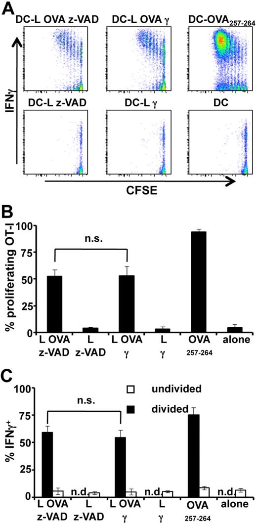 Figure 5. Cross-priming from live antigen-donor cells by DCs injected in vivo. BMDCs were cultured for 16 hours with live or apoptotic L OVA or L cells or OVA257-264 peptide. Then DCs were sorted and injected intravenously into C57Bl/6 CD45.1 mice that were adoptively transferred the day before with CFSE-stained naive OT-I T cells. Three days later, splenocytes were restimulated with 3 μg/mL of OVA257-264 peptide for 4 hours, and then labeled with anti-CD8, anti-CD45.2, anti-Vα2, and intracellularly with anti-IFN-γ mAb. Proliferation (A-B) and IFN-γ production (A,C) were measured by flow cytometry. Events were gated on CD8+Vα2+CD45.2− cells. (B-C) Data are mean ± SEM of 3 independent experiments performed each in duplicate. n.s. indicates not significant; and n.d., not determined.