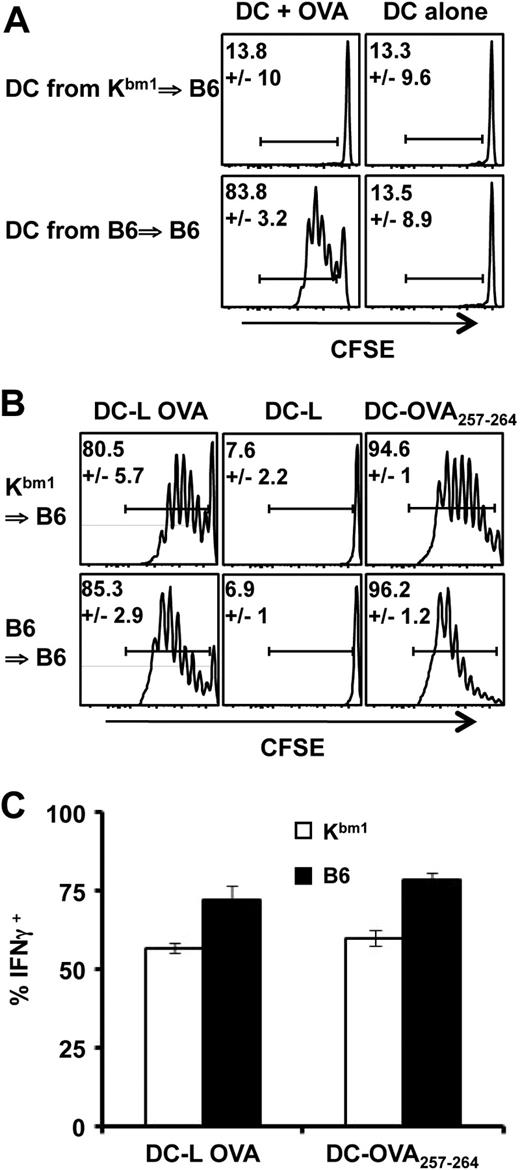 Figure 6. Injected DCs, and not endogenous DCs, are responsible for the cross-priming of OVA from live cells. Lethally irradiated C57Bl/6 rag2-deficient mice were reconstituted with Kbm1 (Kbm1⇒ B6) or CD45.1 (B6⇒ B6) bone marrow cells. (A) Spleen CD11c+ DCs from chimeras were sorted immunomagnetically and cultured overnight with OVA and LPS. Then they were cultured for 3 days with naive CFSE-stained OT-I T cells. At the end of the culture, cells were labeled and gated for CD8 and Vα2 expression to measure proliferation. (B-C) Chimeras were injected with naive CFSE-stained OT-I T cells. They were immunized one day later with DCs cultured with live L or L OVA cells, or with OVA257-264 peptide, in the presence of LPS. Splenocytes were restimulated 3 days later with 3 μg/mL OVA257-264 peptide for 4 hours and were labeled for CD8, Vβ5, Vα2, CD4, and IFN-γ. Proliferation (B) and IFN-γ production (C) were measured by flow cytometry. Data are mean ± SEM of 3 independent experiments performed in duplicate (B-C) or triplicate (A).