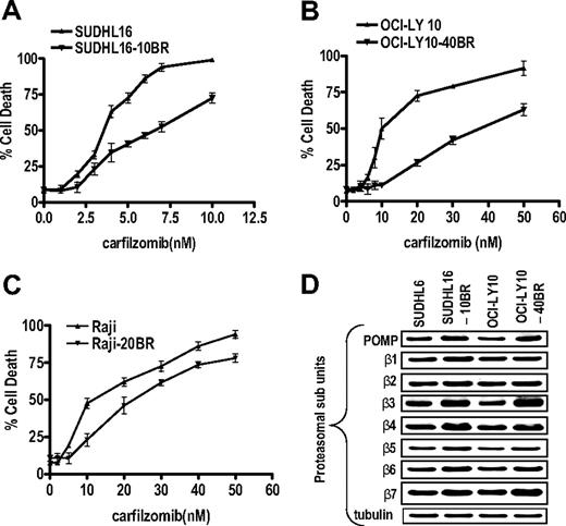 Figure 5. Bortezomib-resistant SUDHL16-10BR, OCI-LY10-40BR, and Raji –20BR cells exhibit partial cross-resistance to CFZ and up-regulation of proteasomal subunits. SUDHL16 and SUDHL16-10BR (A), OCI-LY10 and OCI-LY10-40BR (B), and Raji and Raji-20BR (C) cells were treated with the indicated concentration of CFZ for 36, 48, and 48 hours, respectively, after which cell death was monitored by 7-AAD staining by flow cytometry. Values represent the means for experiments performed in triplicate on 3 separate occasions plus or minus SD. (D) Logarithmically growing SUDHL16, SUDHL16-10BR, OCI-LY10, and OCI-LY10-40BR cells were harvested and proteins extracted. Western blot analysis was then performed using the indicated antibodies. Blots were stripped and reprobed with antitubulin antibodies to ensure equal loading and transfer of protein. Each lane was loaded with 20 μg of protein. Two additional experiments yielded equivalent results.