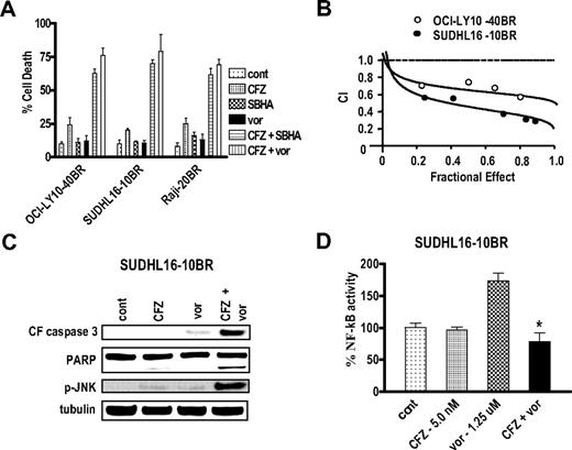 Figure 6. The CFZ/vorinostat regimen potently induces apoptosis in bortezomib-resistant SUDHL16-10BR, Raji 20-BR, and OCY-LY10-40BR cells. (A) OCI-LY10-40BR, Raji-20BR, and SUDHL16-10BR cells were treated with minimally toxic concentrations of CFZ and either vorinostat or SBHA for 48, 48, or 36 hours, respectively. Concentrations were as follows: (OCI-LY10-40BR) CFZ (20nM) with or without SBHA (40μM), or vorinostat (1.5μM); (Raji-20BR) CFZ (15nM) with or without SBHA (40μM) or vorinostat (2.0μM); (SUDHL16-10BR) CFZ (5nM) with or without SBHA (30μM) or vorinostat (1.25μM). Cell death was monitored by 7-AAD/DiOC6 staining and flow cytometry. (B) Fractional effect values were determined for the combination treatments, after which median dose effect analysis was used to characterize the nature of the interactions. Combination index (CI) values less than 1.0 denote a synergistic interaction. (C) SUDHL16-10 BR cells were exposed to the indicated concentrations of CFZ and vorinostat as described in panel A for 24 hours, after which Western blot analysis was performed using the indicated antibodies. Blots were stripped and reprobed with antitubulin antibodies to ensure equal loading and transfer of protein. Each lane was loaded with 20 μg of protein. Two additional experiments yielded equivalent results. (D) SUDHL16-10BR cells were treated with the indicated concentrations of CFZ and vorinostat for 24 hours. Nuclear protein was extracted using the Nuclear Extract Kit (Active Motif), and NF-κB activity was determined using an ELISA TransAM NF-κB p65 Transcription Factor Assay Kit (Active Motif), as described in “NF-κB activity.” *Significantly less than values for cells treated with vorinostat alone (P < .002). In all cases, values represent the means for experiments performed in triplicate on 3 separate occasions plus or minus SD.