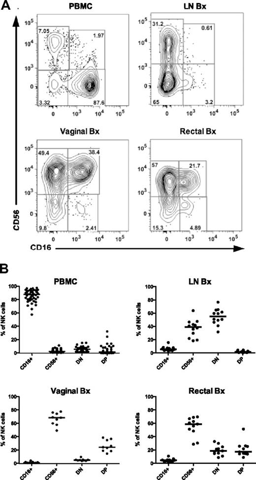 Figure 2. Distribution of macaque NK-cell subsets in blood and tissues. (A) Representative flow cytometric plots showing distribution of NK subsets based on CD56 and CD16 expression in PBMCs and lymph node (LN), vaginal, and rectal biopsies (Bx) of uninfected rhesus macaques. (B) Frequencies of each of the NK-cell subsets are shown as a fraction of the total NK-cell population as defined in Figure 1. Horizontal bars represent medians of 9-15 animals.