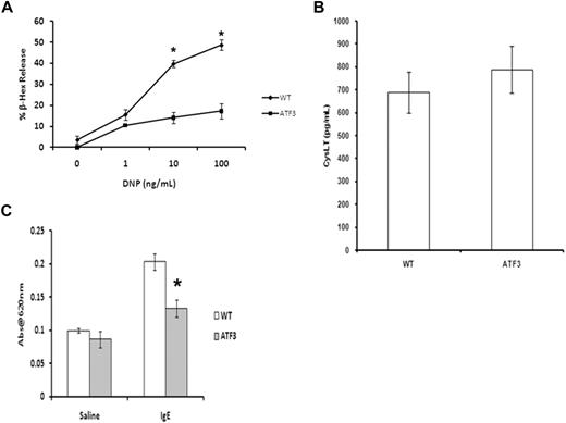 Figure 5. ATF3 deficiency inhibits MC granule mediator release. (A) WT or ATF3-null MCs were cultured in IL-3/SCF for 5 weeks, starved of growth factor for 6 hours, washed, and then sensitized with anti-DNP IgE and stimulated with various concentrations of DNP–bovine serum albumin (BSA) for 30 minutes. Degranulation was measured as β-hexosaminidase (β-Hex) release. (B) Cysteinyl leukotrienes from culture medium was determined by specific enzyme-linked immunoabsorbent assay. Results are expressed as mean ± SEM for 3 independent experiments. *P < .05 by comparison to WT. (C) Passive cutaneous anaphylaxis. Anti-DNP IgE (20 ng) was injected intradermally in the left ear, whereas the right ear received saline as a control. After 24 hours, mice received 100 μg of DNP-BSA containing Evan blue dye (0.5% wt/vol) by tail vein injection. Tissue from both ears was collected 45 minutes later and was used for extraction of the Evan blue dye. The optical density was measured at 620 nm. Data are means ± SEM (n = 4 mice in each group). *P < .05 compared with the IgE group of the WT mice.