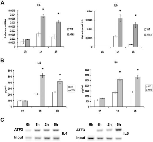 Figure 6. Enhanced cytokine production in ATF3-null MCs. WT or ATF3-null MCs were cultured in IL-3/SCF for 5 weeks, starved of growth factor for 6 hours, washed, and then sensitized with anti-DNP IgE and stimulated with DNP–bovine serum albumin (100 ng/mL) for 0, 1, and 6 hours. (A) Cell pellets were used for RNA isolation and real-time reverse transcription–PCR was performed to determine cytokine expression. (B) Cytokine release was determined in cell-free supernatants by enzyme-linked immunoabsorbent assay. (C) Chromatin immunoprecipitation analysis of ATF3 to predict binding sites in the IL-4 and IL-6 promoters was performed as outlined in “Chromatin immunoprecipitation” with the use of rabbit anti-ATF3 antibody. DNA from input or immunoprecipitated (ATF3) fractions was measured by PCR amplification of specific promoter sequences. Results are expressed as mean ± SEM for 3 independent experiments. *P < .05 by comparison to WT.