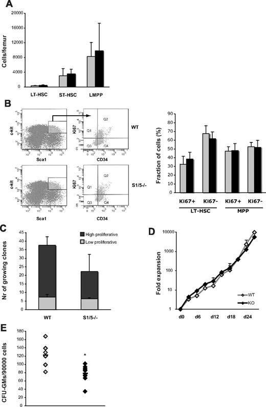 Figure 2. Concurrent deletion of Smad1 and Smad5 alters the colony-forming ability of myeloid progenitors in vitro. (A) Quantity of phenotypic hematopoietic stem and progenitor cells in WT and S1/5−/− mice, as determined by differential counts and FACS (LT-HSC; LSKCD34−Flt3low, ST-HSC; LSKCD34+Flt3low, lymphoid-primed multipotent progenitor; LSKCD34+Flt3high). (B) Relative fraction of dividing cells as defined by expression of Ki67 in LT-HSCs (LSKCD34−) and multipotent progenitors (LSKCD34+). Representative experiment using BM from one S1/5−/− mouse and a littermate control (left), and pooled data from 3 independent experiments (right). (C) Single-cell proliferation culture of primitive LSKCD34− cells, and (D) bulk culture of c-kit-enriched BM cells. (E) Quantity of myeloid progenitors, as determined by the number of colony-forming cells (GM-CFU). Data are mean ± SD (n = 2-5). *P < .05. represent WT; and ▬, S1/5−/−.