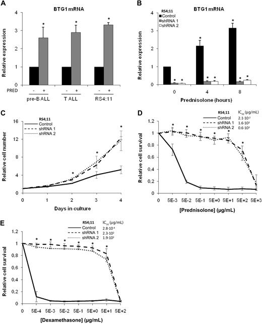 Figure 2. BTG1 expression is essential for the induction of GC-mediated cell death. (A) Quantitative RT-PCR analysis of BTG1 in total mRNA of primary pre-B and T-ALL and RS4;11 cell line after exposure to 1 mg/mL prednisolone dissolved in medium or medium alone for 8 hours. Expression values were normalized for TBP. Titration of the prednisolone concentration revealed that efficient induction of BTG1 mRNA, after 8-hour exposure to prednisolone, could be observed at concentrations as low as 5.0 × 10−1 μg/mL (supplemental Figure 3B). (B) Quantitative PCR analysis of BTG1mRNA in RS4;11 cell lines transduced with control or either of 2 independent shRNAs targeting different regions of the BTG1 gene (shRNA1 and shRNA2). Cells were exposed to 1 mg/mL prednisolone for up to 8 hours. (C) The relative increase in cell number of the RS4;11 control, BTG1 shRNA 1, and BTG1 shRNA 2 cell lines was determined during 4 days of culture. (D-E) Determination of relative viability of RS4;11 control, BTG1 shRNA 1, and BTG1 shRNA 2 cell lines as determined by an MTS-based cytotoxicity assay after 3 days of exposure to increasing concentrations of prednisolone (D) or dexamethasone (E). Relative survival is determined as relative compared with the medium control. Data are mean ± SEM of triplicate experiments. Statistical significance was tested with 2-sided Student t test. (A) *Significant change compared with control cells (P < .05). (B) *Significant change compared with mock-treated control cells (P < .05). (C-E) *Significant change in both shRNA 1 and 2 compared with control cells that had received similar treatment (P < .05).