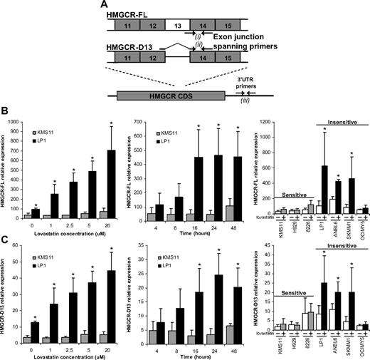 Figure 2. Real-time PCR analysis shows that both HMGCR splice variants are preferentially up-regulated by insensitive MM cells exposed to lovastatin. (A) A schematic illustrating the real-time PCR strategy used to detect HMGCR-FL (i), HMGCR-D13 (ii), and total endogenous HMGCR (iii). MM cells were exposed to the indicated concentrations of lovastatin for various lengths of time and assayed for HMGCR-FL (B) or HMGCR-D13 (C) expression by real-time PCR using primers i and ii (A), respectively, measured relative to GAPDH. Both the dose range for 16 hours (left) and time course at 20μM lovastatin (middle) indicated that LP1 cells up-regulated HMGCR expression more significantly than KMS11 cells. This differential was extended to include other sensitive and insensitive MM cell lines exposed to 20μM lovastatin for 16 hours (right). *P < .05 (Student t test with Welch adjustment for multiple testing). All experiments were performed a minimum of 3 times. Data are mean ± SD.