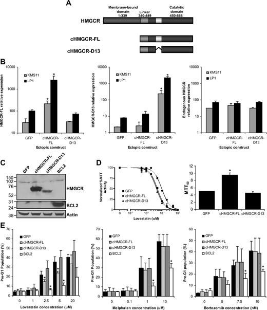 Figure 3. Ectopic expression of catalytic domain HMGCR-FL, but not HMGCR-D13, reduces sensitivity to lovastatin in sensitive MM cells. (A) Schematic of the ectopic HMGCR catalytic domain constructs. (B) KMS11 and LP1 cell lines ectopically expressing the empty GFP vector control, cHMGCR-FL, or cHMGCR-D13 constructs were generated and assessed for transcript expression of HMGCR-FL (left), HMGCR-D13 (middle), and total endogenous HMGCR (right) using primers i, ii, and iii (Figure 2A), respectively, by real-time PCR, measured relative to GAPDH. (C) KMS11 cells ectopically expressing the empty GFP vector control, cHMGCR-FL, cHMGCR-D13, or BCL2 were assessed for protein expression with anti-HMGCR, anti-BCL2, and antiactin as a loading control. (D) KMS11 cells expressing the cHMGCR constructs were exposed to increasing concentrations of lovastatin in an MTT assay to measure cell viability (left). Only the cells expressing cHMGCR-FL demonstrated an increase in their MTT50 for lovastatin, the concentration that is required to reduce viability of the population by 50% (right). (E) Cells expressing the vector control, cHMGCR-FL, cHMGCR-D13, or BCL2 were also exposed to increasing concentrations of lovastatin (left), melphalan (middle), or bortezomib (right) and assayed for the proportion of their pre-G1 populations by fixed PI. *P < .05 (Student t test with Welch adjustment for multiple testing comparing expression in the ectopic construct expressing cells with the GFP control). All experiments were performed a minimum of 3 times. Data are mean ± SD.