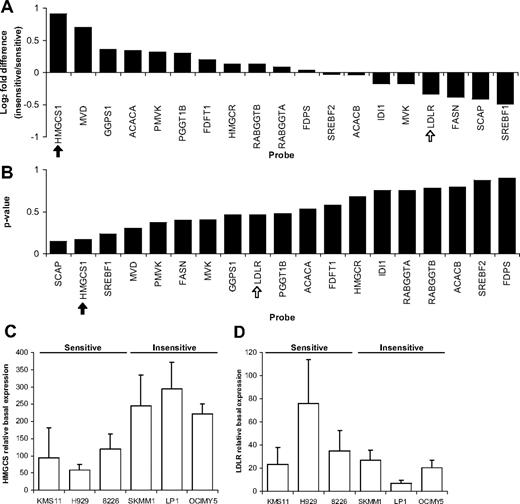 Figure 4. Analysis of the basal mRNA expression of sterol-responsive genes identified HMGCS1, but not LDLR, to be more highly expressed in insensitive MM cells compared with sensitive cells. A publically available dataset composed of basal expression profiles for many MM cell lines was mined for sterol-responsive genes that are differentially expressed in sensitive and insensitive MM cell lines. (A) The log2 fold difference between insensitive and sensitive MM cells revealed that HMGCS1 (black arrow) but not LDLR (white arrow) was more highly expressed in insensitive cells. (B) The P values assessing the significance of any given gene's differential expression showed that HMGCS1 (black arrow) expression was more significantly different in sensitive and insensitive MM cells than most other genes, including LDLR (white arrow). mRNA from representative sensitive and insensitive MM cell lines was harvested for real-time PCR analysis of the expression of HMGCS1 (C) and LDLR (D), measured relative to GAPDH.