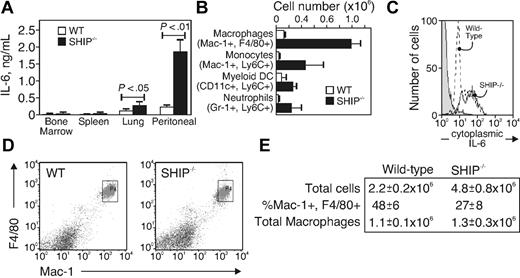 Figure 2. Peritoneal macrophages from SHIP−/− mice produce IL-6. (A) IL-6 production of freshly isolated and purified macrophages from bone marrow, spleen, lung, and peritoneum of WT and SHIP−/− mice, analyzed by ELISA after a 6-hour culture. Data are mean ± SE of 3 identical experiments. (B) Subpopulations of peritoneal cells were identified by flow cytometry as macrophages (Mac-1+, F4/80+), monocytes (Mac-1+, F4/80−, Ly-6Chi), myeloid dendritic cells (CD11c+, Ly-6C+), and neutrophils (Mac-1+, Gr-1+, Ly-6C+) and analyzed for intracellular IL-6. Shown is the total number of each population that expressed intracellular IL-6. Data are mean ± SE of 3 animals. (C) IL-6 histogram of peritoneal macrophages (defined as Mac-1+, F4/80+) from WT (dashed line) or SHIP−/− (solid line) mice. Unstained cells are shown in gray. (D) Peritoneal macrophages identified with anti–Mac-1 and anti-F4/80 antibodies. (E) Total cells from 7 separate animals.