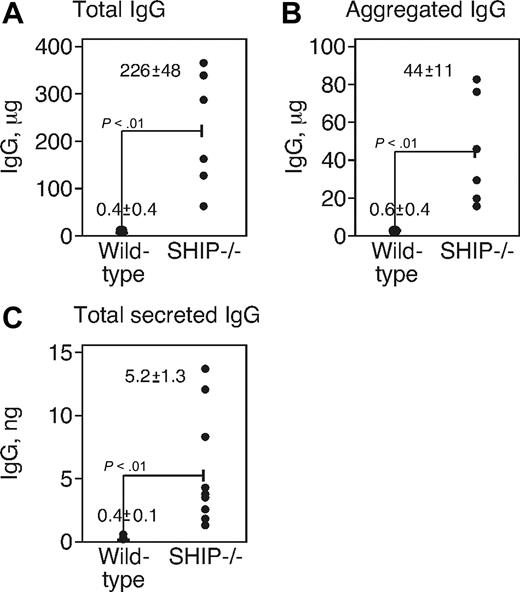 Figure 3. SHIP−/− mice had a high level of total and aggregated IgG in peritoneum. (A) Total IgG obtained by ELISA in peritoneal lavages of WT and SHIP−/− mice. (B) The lavage fluid was centrifuged 55 000g, and IgG (defined as aggregated IgG) was measured in the pellet. (A-B) The data were obtained from 6 individual mice, and each point represents a single animal. (C) IgG production from peritoneal cells was determined by ELISA. The F4/80+ macrophages were removed, and the remaining cells were cultured for 24 hours. Cells were collected, and secreted IgG was measured by ELISA from 9 individual mice.