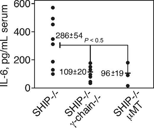 Figure 6. The loss of Fc γ-chain reduces the IL-6 level in the sera of SHIP−/− mice. Serum IL-6 levels of SHIP−/−, SHIP, μMT, and SHIP, γ-chain double-knockout mice at the age of 8 weeks. The serum was obtained by cardiac puncture, and IL-6 level was determined by ELISA. Results from 8 mice of SHIP−/− and SHIP, γ-chain double-knockout and 3 mice of SHIP, μMT double-knockout each strain are indicated as pictograms per milliliter.