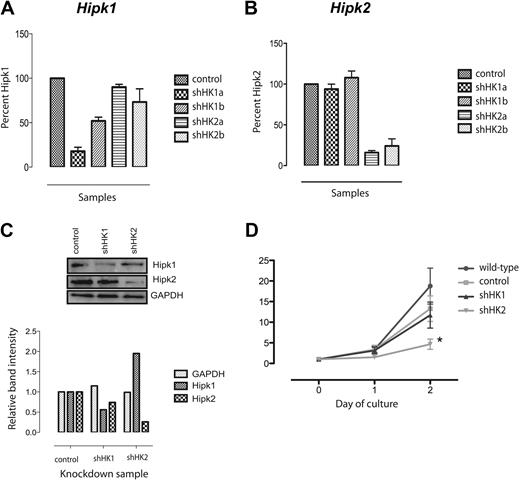Figure 2. Specific knockdown of Hipk2 inhibits terminal erythroid proliferation. RNAi short hairpins designed to specifically target Hipk1 (shHK1a and b) or Hipk2 (shHK2a and b) were cloned into retroviruses and infected into Ter119-negative fetal liver cells before culture in Epo-containing media. The control sample refers to a nonspecific shRNA hairpin directed against the firefly luciferase gene. (A-B) Quantitative RT-PCR on RNA isolated from infected cells after 48 hours was performed using primers against Hipk1 (A) or Hipk2 (B); n = 3 (mean ± 2 SEM). Expression levels were normalized to RPS3 and then compared with control-infected cells. (C) Western blot showing reduced HIPK1 and HIPK2 protein by 36 hours as a result of each specific shRNA knockdown; quantification of the bands is included below the blot. (D) Cell counts measured at 24 and 48 hours after retroviral infection; fold increase compared with equal starting cell numbers (2 × 105) at day 0, set to 1; n = 5 (mean ± 2 SEM). *P < .05.