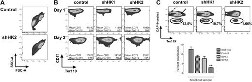 Figure 4. Specific knockdown of Hipk2 inhibits enucleation but not expression of erythroid-specific surface markers. Ter119-negative fetal liver cells infected with shRNA-containing retroviruses were cultured in Epo-containing media. Aliquots of cells from each sample were removed at 48 hours and stained with anti-Ter119 and anti-CD71 antibodies (to assay differentiation) or anti-Ter119 antibody and DAPI-Hoechst (to assay enucleation). (A) Forward scatter (FSC) versus side scatter (SSC) plots for control and Hipk2 knockdown cultures show no significant differences in the major cell populations. (B) Terminal erythroid differentiation as assayed by FACS; n = 4 (mean ± 2 SEM). (C) Extent of enucleation as assayed by FACS: enucleated cells (reticulocytes, circled), are defined by their lack of DNA but positive expression of Ter119, and are distinguishable from erythroblasts (solid arrow). Extruded nuclei (dashed arrow) have the lowest Ter119 signal but highest Hoechst signal because of their high DNA content and loss of membrane proteins. Quantification of enucleated cells is from 4 replicate experiments (mean ± 2 SEM). **P < .01.