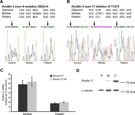 Figure 2. Mutations in the human KINDLIN3 gene and the effect on mRNA and protein levels. (A-B) Alignment of the DNA sequence surrounding the 2 base changes (bold) in exons 8 and 11 of the KINDLIN3 gene of the LAD-III patient, her mother, and control. The original sequencing data are shown below. Reference genomic data from University of California Santa Cruz (chr11:64 250 959-64 269 504). (C) Taqman analysis of KINDLIN3 mRNA levels of mother and patient leukocytes compared with control leukocytes. Each mRNA sample was tested in quadruplicate and prepared twice or more with similar results. (D) Expression of kindlin-3 protein was absent in the patient (P), but present in mother (M) and control (C) T lymphoblasts as assessed by Western blotting (each sample tested twice; n = 2).