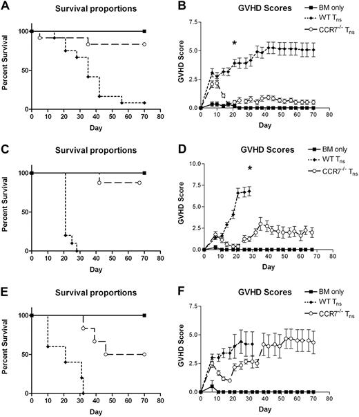 Figure 1. Survival and GVHD scores of animals receiving TCD BM alone or BM plus T cells from WT B6 or CCR7−/− B6 donors. (A-B) B6D2 recipients were lethally irradiated to 9.5 Gy (950 rads) on day −1, and then administered 3 × 106 TCD BM cells from WT B6 donors with or without 4 × 106 CD25-depleted whole (CD4+ and CD8+) splenic Tn cells from either WT B6 or CCR7−/− B6 donors on day 0 by tail vein injection. Recipient animals were followed for survival and scored for GVHD twice weekly using a validated clinical scoring system.20 Animals were assigned a score from 0 to 2 for each of 5 GVHD parameters: weight loss, activity, fur-ruffling, kyphosis, and skin lesions. Scores ranged from 0 (minimum) to 10 (maximum). Error bars depict SEM. Data are combined from 3 separate transplantation experiments. n = 12 animals per group. (A) P < .001 for comparison of overall survival proportions at the end of the study observation period between BM/WT Tn and BM/CCR7−/− Tn groups by Fisher exact test. (B) *P < .001 for comparison of GVHD scores between BM/WT Tn and BM/CCR7−/− Tn groups by the Mann-Whitney test. (C-D) BALB.B recipients were lethally irradiated to 9.5 Gy (950 rads) on day −1, and then administered 3 × 106 TCD BM cells from WT B6 donors with or without 5 × 106 CD25-depleted whole Tn cells from either WT B6 or CCR7−/− B6 donors on day 0. Data are combined from 2 separate transplantation experiments. n = 6 BM, 10 BM/WT Tn, 8 BM/CCR7−/− Tn. (C) P < .001 for overall survival comparison between BM/WT Tn and BM/CCR7−/− Tn groups. (D) *P < .001 for comparison of GVHD scores. (E-F) BALB/c recipients were lethally irradiated to 8 Gy (800 rads) in a single fraction on day −1, and then administered 5 × 106 TCD BM cells from WT B6 donors with or without 6 × 105 CD25-depleted whole Tn cells from either WT B6 or CCR7−/− B6 donors on day 0. n = 2 BM, 5 BM/WT Tn, 6 BM/CCR7−/− Tn. (E) P = .182 for overall survival comparison using the Fisher exact test, and P = .002 for median survival comparison using the log-rank test between BM/WT Tn and BM/CCR7−/− Tn groups.