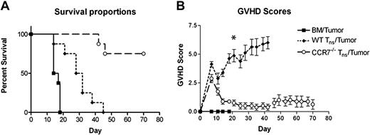 Figure 2. Survival and GVHD scores of B6D2 mice receiving TCD BM cells with or without Tn cells from WT B6 or CCR7−/− B6 donors with P815 murine mastocytoma cells. B6D2 recipients were lethally irradiated and then administered 3 × 106 TCD BM cells from WT B6 donors with or without 4 × 106 CD25-depleted Tn cells from either WT B6 or CCR7−/− B6 donors on day 0. In addition, all animals simultaneously received 25 000 P815 murine mastocytoma cells in the same inoculum. Data are combined from 2 separate transplantation experiments. n = 8 animals per group. (A) P = .001 for overall survival comparison between WT Tn cell/tumor and CCR7−/− Tn cell/tumor groups. (B) *P < .001 for comparison of GVHD scores.