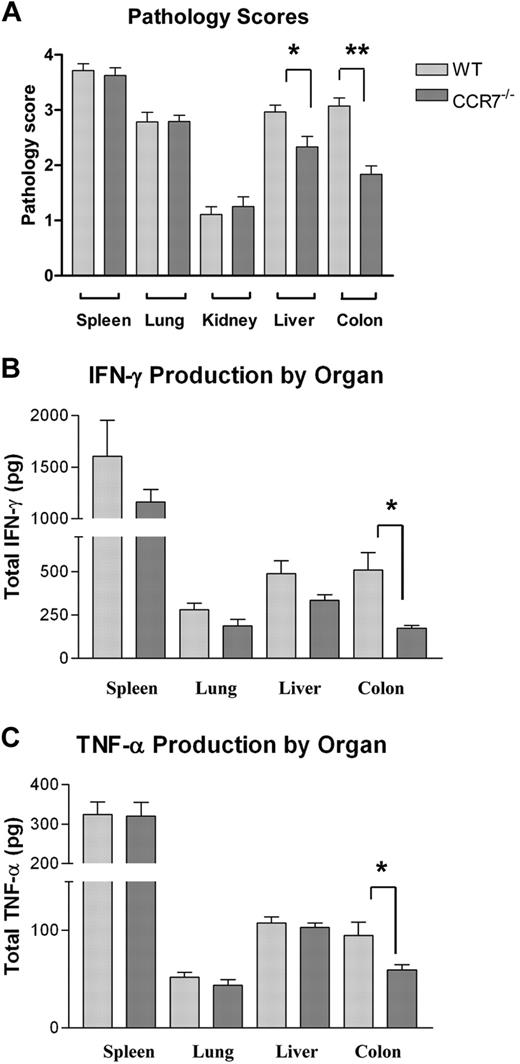 Figure 3. Organ pathology scores and inflammatory cytokine levels in B6D2 mice receiving TCD BM cells plus Tn cells from WT B6 or CCR7−/− B6 donors. B6D2 recipients were lethally irradiated and then administered 3 × 106 TCD BM cells from WT B6 donors with or without 4 × 106 CD25-depleted Tn cells from either WT B6 or CCR7−/− B6 donors on day 0. Error bars indicate SEM. (A) Recipient animals were killed between days 18 and 21, and their organs were extracted for pathologic analysis. Organs were assigned a histologic score between 0 and 4 by a pathologist blinded to treatment group using a system described previously. n = 14 WT Tn cell recipients and 12 CCR7−/− Tn cell recipients. *P = .017, **P < .001 by Mann-Whitney test. (B-C) Recipient animals were killed on transplantation day +15, and their organs were homogenized in a PBS/protease-inhibitor solution. TNF-α and IFN-γ levels were then quantified by ELISA. (B) *P = .017 by Student t test. (C) *P = .052.