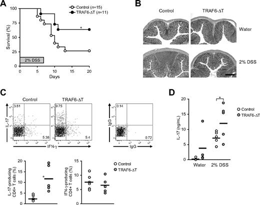 Figure 1. TRAF6-ΔT mice show resistance to DSS-induced acute colitis with an accumulation of IL-17–producing lamina propria lymphocytes. Acute colitis was induced in weight-matched TRAF6-ΔT and control 4-week-old mice by administering DSS in drinking water (2% wt/vol) for 7 days. (A) Mice survival was followed for 20 days. (B) Distal colon histology was assessed at day 7 of DSS treatment. A total of 5 DSS-treated mice/group and 2 water-treated mice/group were analyzed. (C) Lamina propria lymphocytes isolated from the large intestine of day 7 DSS-treated mice were stimulated in vitro to analyze intracellular cytokine content by flow cytometry. Representative flow cytometric plots show cells gated as Thy1.2+CD4+. (D) Serum was isolated from day 7 DSS- and water-treated TRAF6-ΔT and control mice. IL-17 levels in the sera were determined by ELISA. (C-D) Charts represent data from 2 independent experiments. *P < .05.