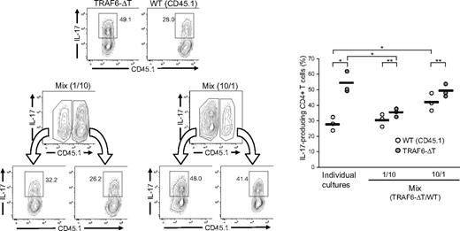 Figure 3. Extrinsic factors affect the differentiation of TRAF6-deficient Th17 cells. CD4+ T cells isolated from TRAF6-ΔT and congenic (CD45.1) wild-type mice were stimulated alone or mixed at 1:10 and 10:1 ratios (Mix) under Th17-skewing conditions. After 4 days of culture, cells were restimulated and stained for flow cytometric analysis. Numbers in flow cytometry plots indicate percentages of IL-17–expressing CD4+ T cells. Right panel represents results from triplicate wells in 1 of 2 experiments. Lines represent average values of the triplicate wells. *P < .05 (unpaired analysis), **P < .05 (paired analysis).