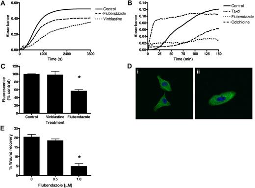 Figure 3. Flubendazole inhibits tubulin structure, polymerization, and function. (A) Flubendazole (100μM) and vinblastine (10μM) were incubated with bovine tubulin (1.5μM), and the conformational changes were monitored spectrophotometrically by measuring the decrease in the number of reactive cysteine residues at an absorbance of 412 nm as described in “Methods.” A representative figure is shown. (B) Flubendazole (100μM), colchicine (6μM), and taxol (6μM) were incubated with bovine tubulin (1.8 mg/mL), and the effects on polymerization were monitored spectrophotometrically by measuring turbidity at 340 nm as described in “Methods.” A representative figure is shown. (C) Tubulin (5μM) was incubated for 30 minutes with 100μM vinblastine, 100μM flubendazole, or buffer control. After incubation, colchicine (10μM) was added and incubated for 60 minutes. Fluorescence of the tubulin-colchicine complex was measured with excitation and emission wavelengths of 360 nm and 430 nm, respectively. Reduced fluorescence indicates binding at the colchicine site. *P < .01 (analysis of variance, Bonferroni post hoc). A representative figure is shown. (D) PPC-1 cells were treated with vehicle control (i) or 1.0μM flubendazole (ii) for 24 hours and stained with DAPI and an anti–α-tubulin Alexa Fluor 488-nm antibody. Images were captured using an Olympus Fluorview confocal microscope at room temperature. Representative confocal micrographs (original magnification ×40) are shown. (E) HeLa cells were grown to confluence and a wound created on the cell monolayer using a 200-μL pipette. Cells were treated with increasing concentrations of flubendazole and imaged every 2 hours for 8 hours. Wound healing was measured as described in the supplemental Methods. Representative data are shown and are presented as percentage wound recovery. *P < .05 (analysis of variance, Bonferroni post hoc).