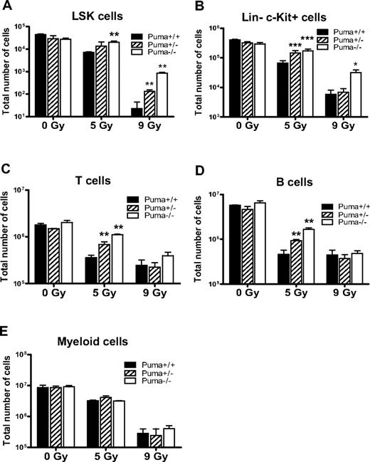 Figure 2. Radiosensitivity of hematopoietic cells is determined by Puma gene dosages and radiation dosages. (A) Total number of LSK cells in mice (n = 3 per group). The number of surviving LSK cells in 1 pair of femurs of Puma−/− mice was comparable with that from Puma+/+ mice before irradiation, but this number was significantly higher in Puma−/− than in Puma+/+ mice at 3 days after 5 Gy TBI and was significantly higher in Puma−/− and Puma+/− mice than in Puma+/+ mice at 3 days after 9 Gy TBI. **P < .01. (B) Total number of HPCs in 1 pair of mouse femurs before and after radiation. The number of HPCs (Lin−c-Kit+) in Puma−/−, Puma+/−, Puma+/+ mice was similar before irradiation but is significantly higher in Puma−/− and Puma+/− mice than in Puma+/+ mice at 3 days after 5 Gy TBI. There was a significantly higher number of Lin−c-Kit+ cells in Puma−/− mice than in Puma+/− and Puma+/+ mice at 3 days after 9 Gy TBI (n = 3 mice per group). *P < .05, ***P < .001. (C-D) Total number of T and B lymphocytes in 1 pair of femurs of mice. There was no significant difference in cell numbers of differentiated cells in nonirradiated mice, regardless of Puma genotype. The number of surviving differentiated T cells (CD3e+) and B cells (B220+) in Puma−/− and Puma+/− mice was significantly greater than those in Puma+/+ mice at 3 days after 5 Gy TBI. Three days after 9-Gy TBI, there was no difference in cell numbers of T and B cells in these mice (n = 3 per group). **P < .01. (E) Total number of myeloid cells in 1 pair of femurs of mice before and after exposure to radiation. There was no significant difference in myeloid cell numbers between Puma−/− or Puma+/− mice or Puma+/+ mice (n = 3) before and after radiation (5 or 9 Gy TBI). All data are shown as mean ± SD.