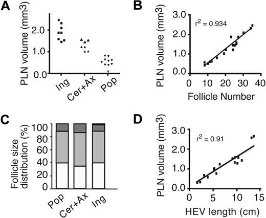 Figure 2. Homeostatic PLN structure. (A) Classification of PLN into small (Pop: popliteal), medium (Cer + Ax: cervical and axillary), and large (Ing: inguinal). Each symbol represents 1 PLN. (B) Correlation between PLN volume and number of B-cell follicles. Each square represents 1 PLN. (C) Normalized size distribution of individual B-cell follicles. ▭ indicate 1 to 5 × 106 μm3; , 5 to 15 × 106 μm3; , 15 to 25 × 106 μm3; and ▬, greater than 25 × 106 μm3. (D) Correlation between PLN volume and total HEV length. Each square represents 1 PLN.