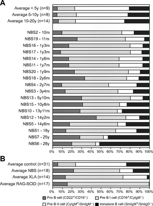 Figure 2. Precursor B-cell differentiation patterns of healthy donors, NBS, XLA, and RAG-deficient SCID patients. (A) Flow cytometric analysis of the precursor B-cell compartment in bone marrow of 31 healthy donors and 18 NBS patients. (B) The average precursor B-cell differentiation pattern of the 18 NBS patients was compared with the average patterns of 14 XLA patients and 17 RAG-deficient SCID patients and the 31 controls. All 3 patterns showed a block before the pre-B-II cell stage; however, only in RAG-deficient SCID patients was this block complete. In NBS and XLA patients, the block was incomplete (“leaky”), but the percentage of immature B cells was much lower in XLA than in NBS.