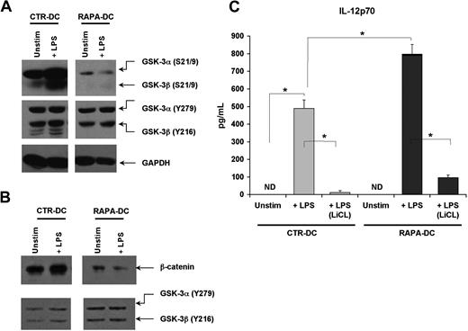 Figure 3. Profound failure to inhibit GSK-3 in RAPA-DC promotes increased IL-12p70 secretion after LPS stimulation. The activity of GSK-3α/β in murine CTR- and RAPA-DCs, determined by the extent of phosphorylation of inhibitory N-terminal serines (S21 for GSK-3α; S9 for GSK-3β) versus facilitatory tyrosines (Y279 in GSK-3α; Y216 in GSK-3β), was assessed by Western blot. (A) CTR-DCs demonstrated a profound increase in the inhibitory phosphorylation of S21/9 after TLR4 ligation. However, RAPA-DCs, either unstimulated or especially after 20 minutes of exposure to LPS, exhibited very little phosphorylation of S21/9 but comparable phosphorylation of the activating Y279/216. (B) CTR-DCs displayed increased β-catenin and little GSK in the nucleus compared with RAPA-DCs. (C) Treatment of murine RAPA-DCs with the GSK-3 inhibitor LiCl (10mM) before LPS stimulation profoundly inhibited IL-12p70 secretion after TLR4 ligation in both CTR- and RAPA-DCs (mean ± SD). *P < .05. The data shown are representative of more than 3 experiments performed.