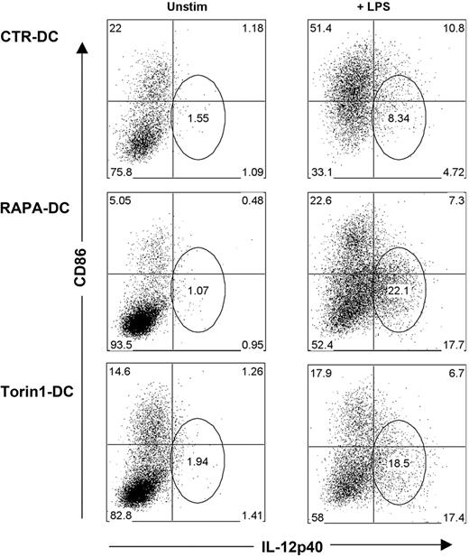 Figure 4. Generation of DCs under conditions of mTORC1 and mTORC2 inhibition results in DCs that remain CD86lo but express IL-12 on LPS stimulation. RAPA- and CTR-DCs were generated as described in “DC generation and treatment.” BM-derived Torin1-DCs were generated from B6 mice with GM-CSF and IL-4 in the presence 50nM Torin1, a dual inhibitor of mTORC1 and mTORC2. After purification on day 7 of culture, these DCs were incubated for 18 hours in media alone (Unstim) or with 0.1 μg/mL LPS. Intracellular staining for IL-12p40, combined with surface staining for CD86, reveals that DCs generated under mTORC1 and mTORC2 inhibition have increased IL-12p40 production in CD86loCD11c+ cells. Numbers on dot plots indicate percentage CD11c+ cells, and data are representative of 3 experiments performed.