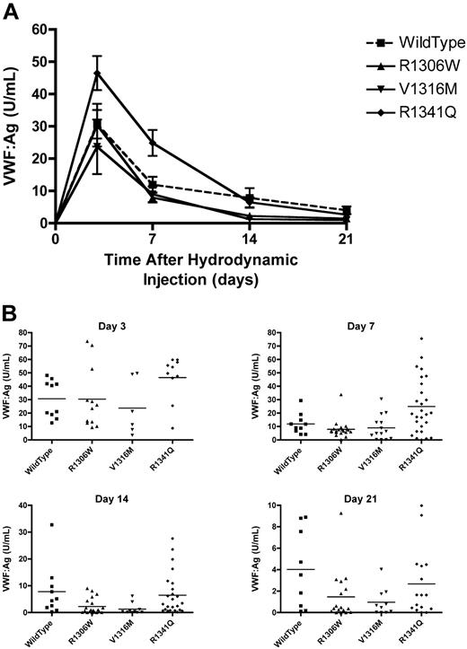 Figure 3. Plasma VWF levels after hydrodynamic injections. Plasma samples were obtained after hydrodynamic injections and VWF:Ag was determined using a VWF:Ag ELISA. (A) Time course of plasma VWF:Ag. Data are mean ± SEM. (B) VWF:Ag at each time point. Each symbol represents one mouse.