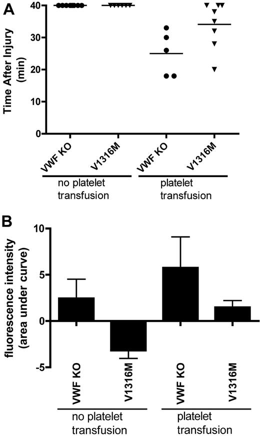 Figure 7. Thrombus formation and platelet accumulation at sites of endothelial damage in hydrodynamically injected mice after platelet transfusion. A total of 10% ferric chloride was used to injure cremaster muscle arterioles after transfusion with C57Bl/6 normal platelets. The vessels were observed for 40 minutes; fluorescence intensity was assessed every 5 minutes as a surrogate measure for platelet accumulation. (A) Time to vessel occlusion. Each symbol represents one mouse. (B) Total fluorescence accumulation, represented as the area under the curve of fluorescence intensity.