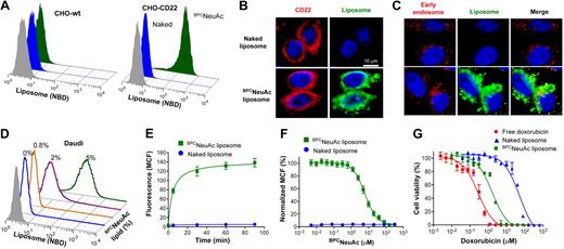 Figure 2. BPCNeuAc liposomes are bound and internalized by CD22-expressing cells. (A) FACS analysis for binding of fluorescently (NBD) labeled liposomes to wild-type CHO cells or CHO cells expressing recombinant human CD22. Cells were incubated with the naked (blue) or BPCNeuAc (green) liposomes or left untreated (gray) at 37°C for 1.5 hours before analysis. (B) CHO cells expressing CD22 were compared for their binding to the fluorescent (green) naked or BPCNeuAc liposomes. CD22 was detected with anti–human CD22 (red), and the nuclei were visualized by staining with DAPI. (C) Fluorescence microscopy analysis of the colocalization of BPCNeuAc liposomes with early endosomes. CHO-CD22 cells were incubated with fluorescent liposomes (green) as described. Early endosomes were visualized by staining with an Alexa Fluor 555–labeled anti-EEA1 (red). (D) Binding of BPCNeuAc liposomes to Daudi human B lymphoma cells. Daudi cells were incubated in mouse serum with liposomes containing 0% to 5% BPCNeuAc lipids or without liposomes (gray) before FACS analysis. (E) BPCNeuAc liposomes rapidly bind to Daudi cells. Fluorescent naked or BPCNeuAc liposomes were added to an aliquot of Daudi cells in mouse serum and incubated at 37°C for the indicated time before FACS analysis. Data are presented as mean channel of fluorescence (MCF) plus or minus SD. (n = 3). (F) Competitive binding of BPCNeuAc liposomes to Daudi cells in the presence of the free BPCNeuAc ligands. Fluorescent naked or BPCNeuAc liposomes were incubated with Daudi cells with the presence of the monovalent BPCNeuAc ligands at indicated concentration. Data were analyzed by FACS and shown as normalized MCF plus or minus SD. (n = 3). (G) Cytotoxicity of dox-loaded liposomes toward Daudi B cells. Cells were subjected to free dox, dox-loaded naked liposomes, or BPCNeuAc liposomes for 1 hour at 37°C. Cells were washed and incubated at 37°C for an additional 48 hours before measuring cell viability. Data shown are means of triplicate plus or minus SD. Representative data from 1 of 3 independent experiments are shown. Data were fitted using the Prism nonlinear regression software.