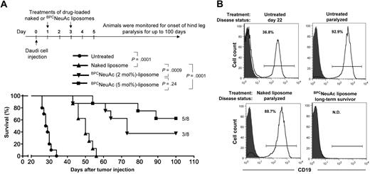 Figure 4. Efficacy of CD22-targeted liposomes in a xenograft model of the disseminated Daudi human B lymphoma. (A) Top panel shows timeline for the in vivo efficacy study. Bottom panel: tumor-bearing mice that received PBS (untreated, n = 10), dox-loaded naked liposomes (n = 8), or BPCNeuAc liposomes (n = 8) containing 2% or 5% BPCNeuAc ligands were monitored for the onset of hind-leg paralysis for up to 100 days. Survival rate is presented in a Kaplan-Meier plot with indication of numbers of long-term survivor animals. (B) Estimation of residual Daudi lymphoma cells in the bone marrow. Shown are histograms of bone marrow cells isolated from tumor-bearing mice followed by staining with isotype (solid) or anti–human CD19 (line) antibodies to identify infiltrated Daudi cells. Shown are results from 1 of 3 representative mice that received the indicated treatment. Percentages of lymphoid gated CD19+ Daudi cells in the bone marrow are indicated. N.D. (not detected) refers to less than a 0.4% background observed for an IgG isotype control.