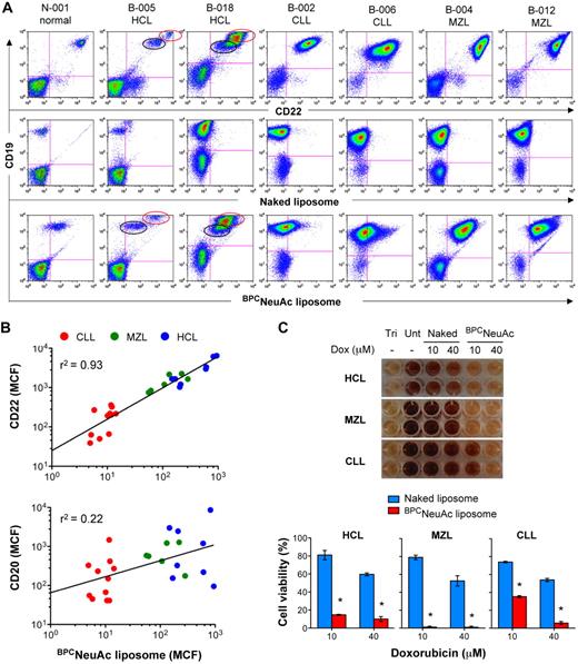 Figure 5. CD22-targeted liposomes bind to and kill malignant cells from patients with B-cell lymphomas or leukemias. (A) Binding of BPCNeuAc liposomes to patient B cells. Shown are representative samples from 1 healthy donor and 6 patients with HCL, CLL, or splenic MZL. Lymphocytes were gated based on the forward- and side-scatter characteristics. B-cell populations detected with anti–human CD19 were analyzed for binding of anti–human CD22 (top row), naked liposomes (middle row), and CD22-targeted BPCNeuAc liposomes (bottom row). CD22-bright HCL (red circle) was distinguished from normal B cells (black circle). (B) Correlation of binding of BPCNeuAc liposomes with CD22 or CD20 expression on the B-cell lymphomas. The diagonal lines represent linear regression that was analyzed using Prism software and the values of goodness of fit (r2) are indicated (n = 25). (C) Cytotoxicity of the dox-loaded BPCNeuAc liposomes toward malignant B cells. Top panel shows results of the viability of blood lymphocytes evaluated by the standard MTT assay after treatments of dox-loaded naked or BPCNeuAc liposomes with dox concentrations at 10 or 40μM. Cells left untreated (Unt) were defined as the maximal cell viability. Complete cell killing was determined from the Triton X-100 lysed cells (Tri). Bottom panel shows percentages (means of triplicate ± SD) of the viable blood lymphocytes after treatment with dox-loaded naked or BPCNeuAc liposomes. *P < .05 compared with control treatments of naked liposomes. Representative data from 1 of 4 samples are shown.