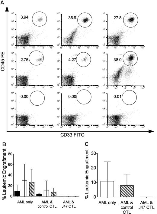 Figure 3. The minor H antigen recognized by J 47 is expressed on AML LICs. Cohorts of sublethally irradiated NOD/SCID mice were inoculated with 5 × 106 AML cells alone or with AML cells that had been cocultured overnight with clone J 7 (specific for a minor H antigen not expressed on the AML) or with clone J 47 at an E/T ratio of 10:1. (A) FACS analysis of BM obtained at 6 weeks and stained for human CD45+CD33+ cells in individual mice that received AML alone (top panel); AML and the control clone (middle panel); and AML and J 47 (bottom panel). Data are shown for 3 representative mice (of 5-10 in each cohort). The mouse on the righthand side of the middle panel died just before the 6-week evaluation, and the BM was obtained postmortem, accounting for higher nonspecific staining in the lower right of the flow plot. (B) Leukemic engraftment in the BM at 3 (■), 6 (□), and 8.5 (▧) weeks after transplantation evaluations in mice in each cohort. Bars represent SD. (C) Leukemic engraftment in the spleen killed at 8.5 weeks after transplantation in mice in each cohort. (A-C) The data are representative of 2 experiments with 2 different AML samples that express the minor H antigen recognized by J 47.