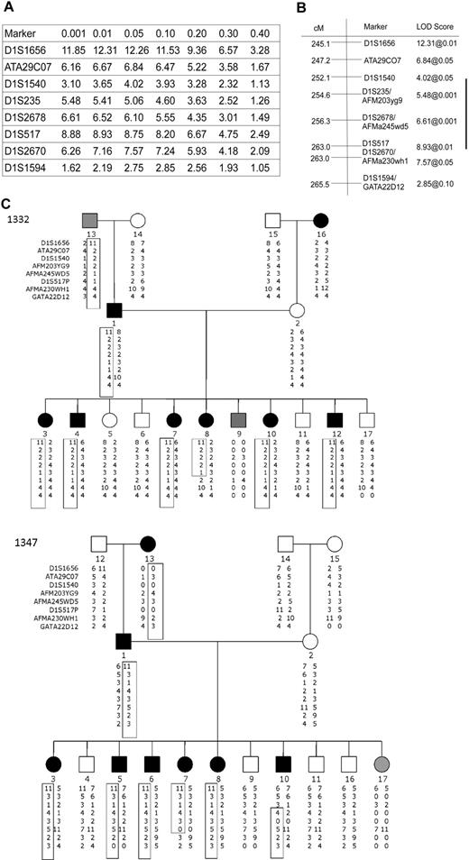 Figure 4. Identification of the locus encoding the minor H antigen recognized by J 47 using genetic linkage analysis. Two-point linkage analysis localized the coding sequence to chromosome 1q. (A) Genotypic data were extracted for chromosome one from the CEPH V9.0/V10.0 database, and a LOD table was constructed using 8 CEPH families. Markers on chromosome 1q identify a 20.4-cM region of interest with significant linkage to the locus encoding J 47. (B) According to the University of California Santa Cruz Genome Browser (http://genome.ucsc.edu/), this region corresponds to a physical map distance of 9.87 Mb. (C) Haplotype analysis identified informative recombinants in pedigrees 1332 and 1347 that implicate a 4.7-Mb region between D1S1540 and D1S517 as encoding the minor H antigen recognized by J 47. In family 1332, individual 8 who is minor H antigen+ shares the involved haplotype only proximal to marker D1S517 with the minor H antigen+ father. In family 1347, individual 10 is minor H antigen+ and shares the haplotype on chromosome 1q with the minor H antigen+ father only distal to D1S1540. Black, white, and gray circles (female) or squares (male) indicate a person who was scored as positive, negative, or indeterminate (B-LCLs not available or marginal lysis level), respectively, for the minor H antigen phenotype.