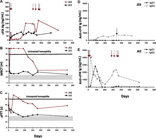 Figure 4. Delivery of AAV2-cFIX via ATVRX with no IS. (A) Canine FIX antigen levels measured by ELISA. (B-C) Coagulation parameters measured by WBCT (m indicates minutes) and aPTT (s indicates seconds). (D-E) Anti-cFIX IgG1 and IgG2 subclass antibody titer measured by ELISA in J03 (D) and J62 (E). *Peak neutralizing antibody titer (1.5 BU at day 35 after ATVRX). Shaded gray areas represent range of values for hemostatically normal animals. Vertical arrows represent pooled normal plasma administrations. x axis represents time in days.