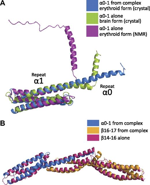 Figure 4. Comparison with other spectrin structures shows that the composite 3-helix bundle recapitulates a spectrin repeat. (A) Comparison of human erythroid spectrin repeats α0-1 from the crystal structure of the complex (α0-1, blue) to the structure of α0-1 in solution (purple)39 and to a crystal structure of human brain α0-1 spectrin (green)42 indicates stabilization of the helical linker between repeats 0 and 1 in the head-to-head α/β complex. In contrast to the NMR structure and crystal structure, the entirety of the repeat α0 is helical when in complex with β16-17. (B) Superposition of the structure of the tetramerization domain (blue and yellow) with the 3-repeat structure of human brain β-spectrin repeats 14-16 (red)32 demonstrate that the composite repeat highly resembles an intact spectrin repeat.