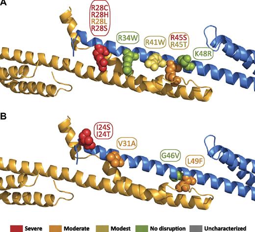 Figure 6. Locations of α0 domain HE/HPP mutations in the tetramer complex. Mutations that have been associated with HE or HPP are indicated as space-filling spheres on the ribbon diagram. Most of the mutations map directly to interacting residues. The relationship to our previously reported binding affinities with the use of isothermal titration calorimetry are color coded by the use of the previously defined binding affinity categories17: red = severe (marginal or no detected binding); orange = moderate (∼100-fold weaker than wild type); yellow = modest (∼10-fold weaker than wild type); green = no effect (wild-type binding). (A) Mutations of positively charged residues. (B) Mutations of uncharged residues.