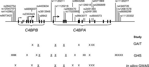 Figure 1. Location of the studied C4BPB/C4BPA polymorphisms. Exons are denoted as squares. X represents polymorphisms that were genotyped in a given study. Underlined X denotes polymorphisms showing association with any of the studied phenotypes.