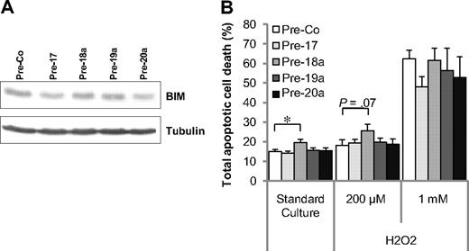Figure 4. Effect of members of the miR-17-92 cluster on apoptosis. (A) Expression of the proapoptotic protein Bim in HUVECs after transfection with precursors for the indicated miRs. A representative Western blot is shown; n = 3 experiments. (B) Detection of annexin-positive HUVECs after transfection with the miR precursors in the presence or absence of H2O2 for 14 hours; n = 3-11 experiments. *P < .05.
