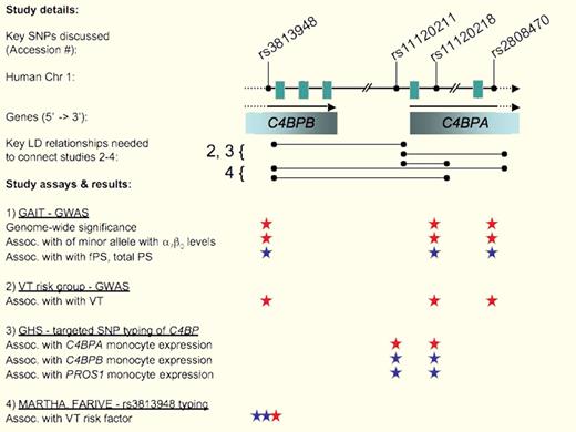 The complement binding protein gene cluster containing C4BPB and C4BPA mapped as new genetic risk factor for venous thrombosis (VT) by means of genome-wide association mapping studies (GWAS) in the GAIT cohort (1), a VT-risk group (2), targeted SNP typing in the GHS study (3), single SNP case-control analyses (rs3813948) of the MARTHA and FARIVE cohorts (4). Key linkage disequilibrium (LD) relationships between key SNPs employed by Buil et al in the context of studies. Significant support and key nonsignificance of assays are shown as red and blue, respectively. Significance was observed only for a combined analysis of both cohorts, but not for each cohort separately. FPS, free plasma protein S; PS, total plasma protein S, PROS1, protein S gene.