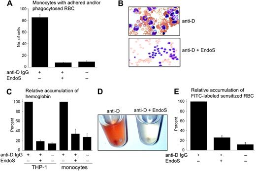 Figure 2. RBCs sensitized with anti-D IgG pretreated with EndoS are not attached to, or phagocytosed by, monocytes. (A) The degree of adherence/phagocytosis of RBCs sensitized with anti-D determined by monocyte monolayer assay and expressed as a number of monocytes with one or more adherent/phagocytosed RBCs of 100 monocytes detected. (B) The appearance of “rosettes” showed using Grünwald-Giemsa staining of monocyte monolayers incubated with RBCs sensitized with anti-D (top panel) and anti-D pretreated with EndoS (bottom panel; original magnification ×60). (C) Phagocytosis of sensitized RBCs by THP-1 cells and blood monocytes with or without treatment of anti-D with EndoS. The results are presented as the relative amount of internalized hemoglobin in cells detected by reactivity with 2,7-diaminofluorene. (D) Resuspended monocytes after incubation with RBCs sensitized with anti-D followed by the removal of noningested RBCs. (Left) RBCs sensitized with anti-D. (Right) Anti-D pretreated with EndoS. (E). Purified blood monocytes were incubated with FITC-labeled RBCs sensitized with anti-D and the degree of ingested RBCs determined by measuring the fluorescence.