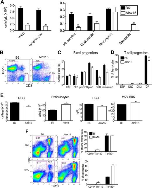 Figure 1. Alox15 mice exhibit multiple hematopoietic defects. (A) Reduction in WBC, lymphocytes, and monocytes and an increase in basophils in 12- to 15-week-old wild-type Alox15 compared with B6 mice as an average (± SEM) of n = 4. (B-C) Defective B-cell development in Alox15 mice. (B) Splenocytes were isolated and stained for B cells (B220+) and T cells (CD3+). The percentage of B cells and T cells is indicated as the percentage of total cells for a representative experiment of n = 5. (C) BM cells were stained for B-cell progenitors and analyzed by flow cytometry: LSK, CLP (Lin−IL-7Rα+cKitloSca1lo), pre-pro-B (B220+CD43+HSA−CD19−), pro-B (B220+CD43+HSA+CD19+), pre-B (B220+CD43−IgM−CD19+), and immature B (B220+CD43−IgM+CD19+) cells as an average (± SEM) of n = 3. (D) Defect in Alox15 T-cell development. Thymocytes were stained for T-cell progenitors and analyzed by flow cytometry: ETP (Lin−CD25−cKit+), DN2 (Lin−CD25+cKit+), DN3 (Lin−CD25+cKit−), and double positive (CD4+CD8+) as an average (± SEM) of n = 3. (E) Hematologic analysis of peripheral blood from 12- to15-week-old B6 and Alox15 mice. The number of RBC, reticulocytes, hemoglobin (HGB), and the mean cell volume of the RBCs (MCV-RBC) in B6 and Alox15 is depicted as the average (± SEM) of n = 4. (F) Stress erythropoiesis in Alox15 mice demonstrated by expansion of erythroid progenitors. Proerythrocytes (CD71+Ter119lo) and erythrocytes (Ter119hi) in BM and spleen are indicated as a percentage of total cells for a representative experiment and a summary of 4 experiments; *P < .05, **P < .01 compared with wild-type.